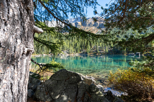Turquoise waters of Lagh da Saoseo in the Engadin Alps surrounded by autumn nature, creating a peaceful, almost surreal scenery symbolizing mindfulness, clarity, letting go and inner calm.