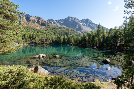 Turquoise waters of Lagh da Saoseo in the Engadin Alps surrounded by autumn nature, creating a peaceful, almost surreal scenery symbolizing mindfulness, clarity, letting go and inner calm.