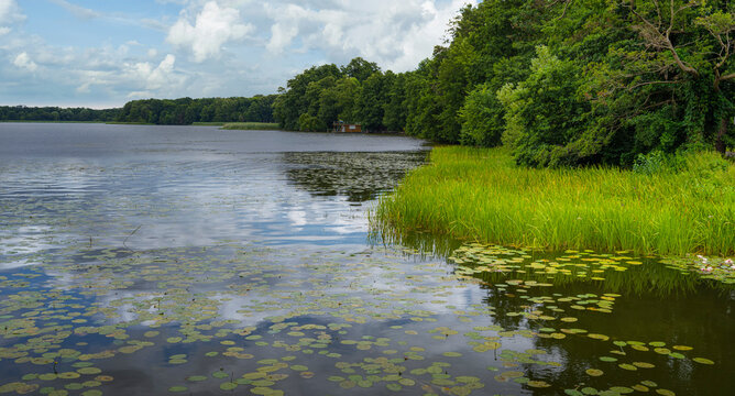 Idyllische Waserlandschaft mit Seerosen, Ruppiner Seenplatte, Brandenburg, Deutschland