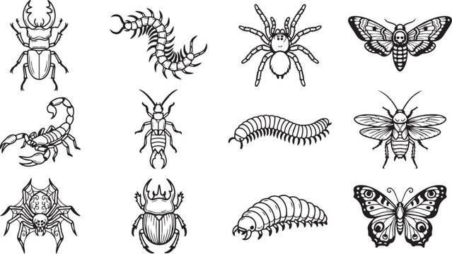 Black and white insect and creepy crawly icon set