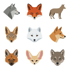 Fototapeta premium Collection of Wild Canine Vector Illustrations Featuring Wolf, Red Fox, Coyote, Jackal, Arctic Fox, Dingo, Maned Wolf, Fennec Fox and Gray Wolf Heads and Profiles for Nature and Wildlife Design