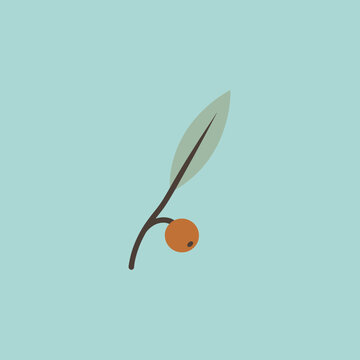 Minimalist botanical vector illustration of a single green lanceolate leaf and round orange berry on a brown twig over light blue background.