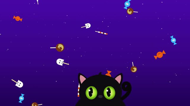 Cute Halloween Cat Loop Animation