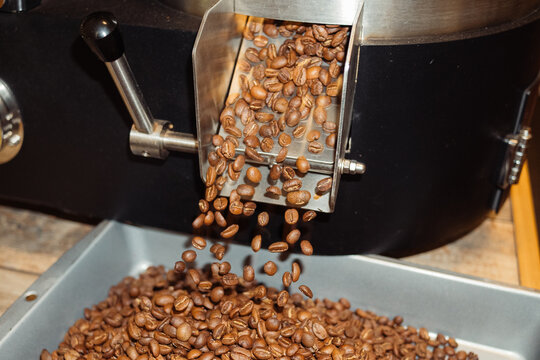 Roasted Coffee Beans Falling from Roaster