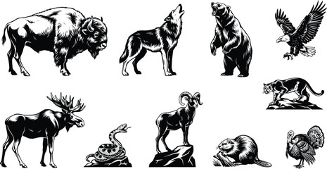 Set of black and white featuring north american wildlife including a bison, howling wolf, standing bear, eagle, moose, snake, bighorn sheep, cougar, beaver, and turkey © Animal-Vactor