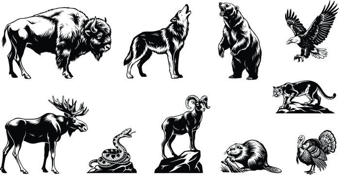 Set of black and white featuring north american wildlife including a bison, howling wolf, standing bear, eagle, moose, snake, bighorn sheep, cougar, beaver, and turkey