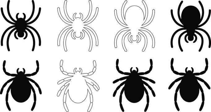 Set of black and white spider and tick vector icons for Halloween, insect, and wildlife design concepts