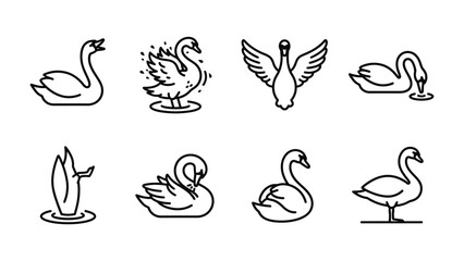 Obraz premium Swan Icon Set: A collection of minimalist black and white line art icons depicting swans in various elegant poses and activities on water and land.