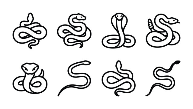 Snake Icon Set: A collection of minimalist line art icons representing various snake poses and species, perfect for graphic design and educational purposes.