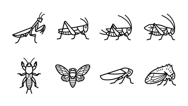 Set of Insects: A collection of diverse insect illustrations, including a praying mantis, grasshoppers, a cicada, and other winged and crawling creatures, presented in a clean graphic style.