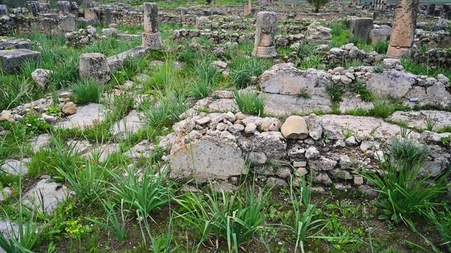 Ancient roman ruins of Volubilis, Morocco