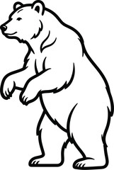 Fototapeta premium polar bear vector illustration