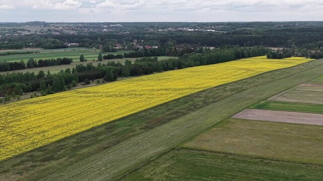 Agricultural farm field from high angle view