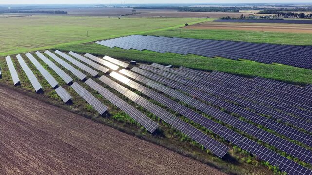 Modern solar farm situated beside vibrant green agricultural crop field