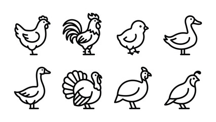 Obraz premium Farm Birds Icons: A collection of simple line art icons representing various farm birds, including a hen, rooster, chick, duck, goose, turkey, guinea fowl, and quail.