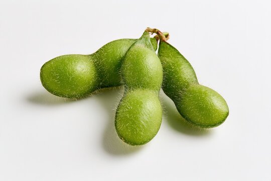 Three Green Soybeans Hanging Together