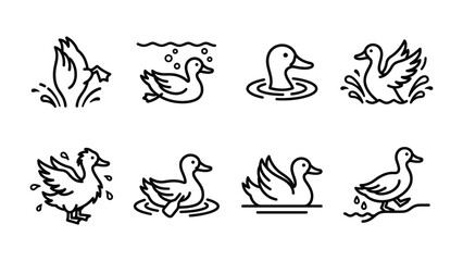 Obraz premium Duck Icon Set: A collection of simple line art icons depicting ducks in various poses, swimming, diving, and splashing in water, perfect for graphic design and web applications.