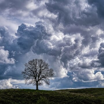 Dramatically textured overcast sky filled with heavy, undulating cumulus clouds showing deep shadows and highlights in blue, gray, and white, abstract, high contrast, texture