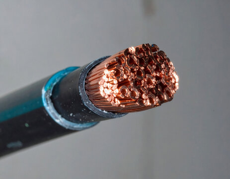 Macro Cross Section of Thick Stranded Copper Power Cable End