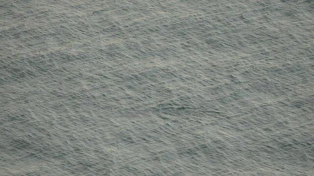 Large grey whale dives beneath the turbulent surface of the Pacific ocean, disappearing into deep blue waters. Aerial high angle shot.