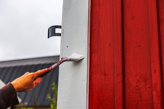 Close-up view of painter applying white paint to wooden trim beside red exterior wall. Sweden.