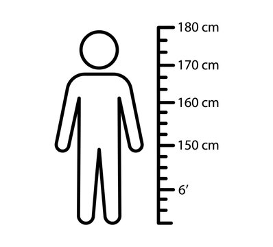 Minimalist human figure icon standing next to a height measurement scale with body size growth chart measurement too
