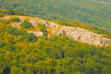 mountain ridge covered by a forest outdoor scene © Yuriy Kulik