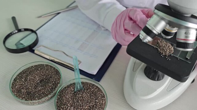 A microscope examines tiny chia seeds on a glass slide in a laboratory