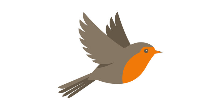 Flying orange breasted robin bird vector illustration with wings spread.