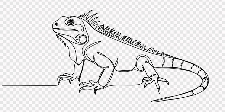 Continuous single line drawing of a green iguana lizard walking with side profile view in a minimalist artistic style for creative design projects and wildlife themed decoration art print vector