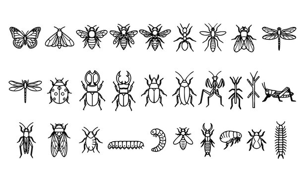 Entomology Insect and Arthropod Outline Icons Vector Collection