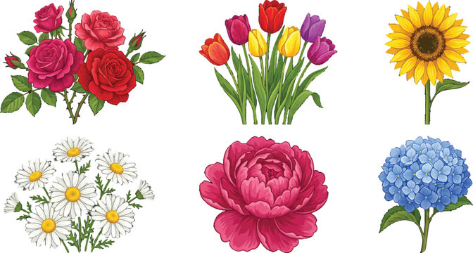 Set of colorful floral illustrations featuring roses tulips and various garden blossoms in vector style