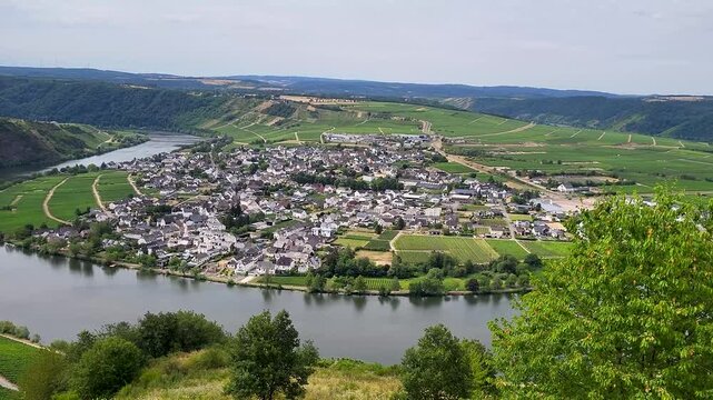 Panoramablick auf die ber&uuml;hmte Moselschleife bei Piesport. Die malerische Flussschlinge schmiegt sich an steile, gr&uuml;ne Weinberge und den idyllischen Weinort an der Mosel.