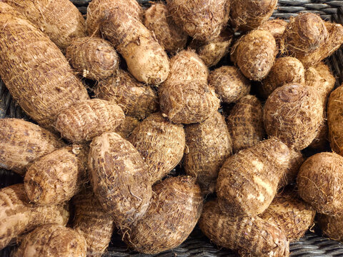 Caribbean tropical Eddoes roots in a pile at a West Indian market