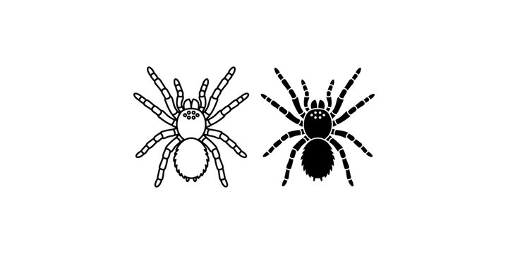 Two tarantula spider silhouettes featuring detailed outline and solid black graphic icon design for entomology or horror themed projects.