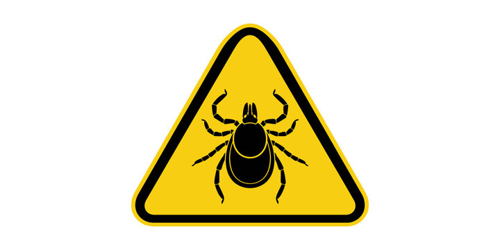 Warning sign with tick insect icon in yellow triangle for hazard information on transparent background.