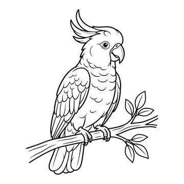 Crested cockatoo parrot bird perched on leafy tree branch line art vector illustration isolated on white background.