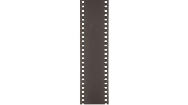 Vertical strip of blank 35mm film negative isolated on a white background