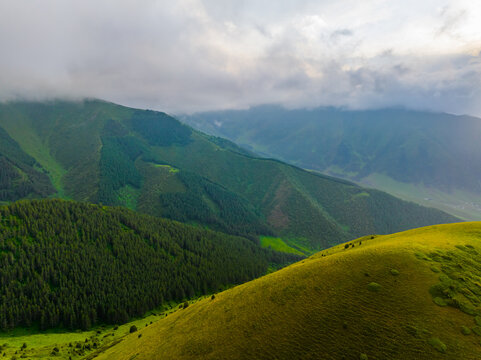 A breathtaking aerial view captures a vast mountain landscape. Sunlit hill in foreground contrasts with dense evergreen forests and hazy peaks in the background.