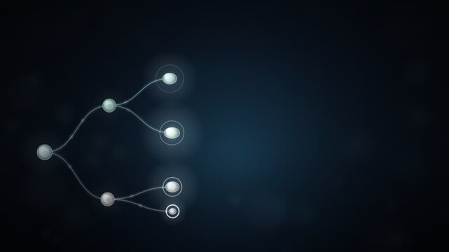 Stem Cell Differentiation Branching Tree Animation