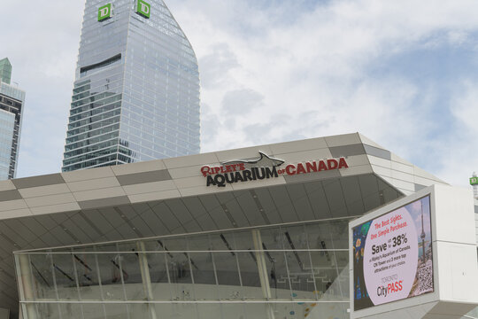 TD Terrace (160 Front St W) and Ripley's Aquarium of Canada at Bremner Blvd, Toronto