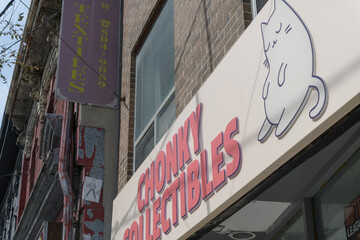 Obraz premium shop sign outside Chonky Collectibles, a game store, located at 438 Queen St W, Toronto