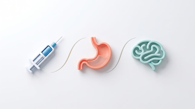 Clean medical infographic with syringe, stomach, and brain icons connected by lines. GLP-1 slows digestion and reduces appetite, flat design concept