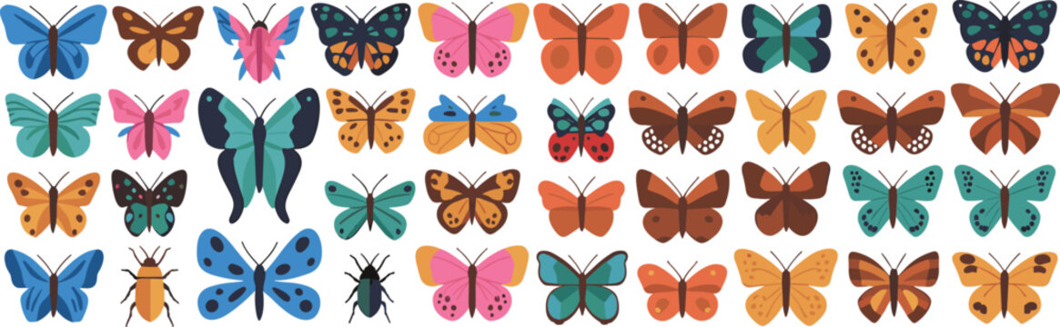 Colorful Butterfly Collection with Decorative Moths, Beetles and Insect Species in Various Wing Patterns for Nature Designs