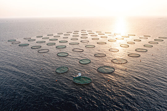 Aquaculture fish farm cages floating in Cyprus