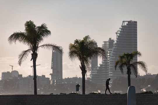 Silhouette of palm trees and walkway against Limassol skyline. Limassol, Cyprus
