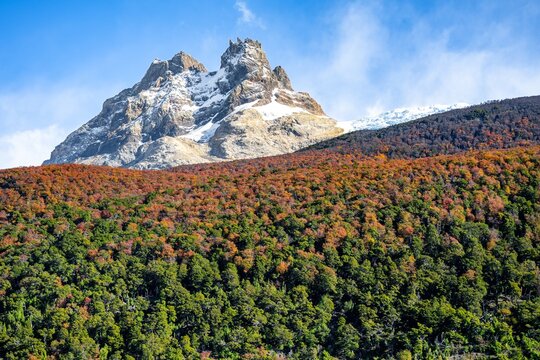 Rocky snow-dusted peak above autumn lenga forest near El Chalten, Argentina