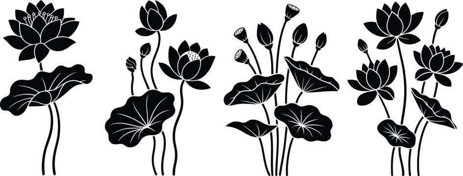 Black and white lotus flower illustrations for decorative design and zen art style
