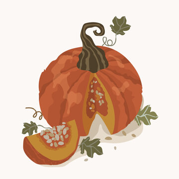 Composition of cute Pumpkin with a stem and leaves on top. Vector illustration, good for thematic emblem, banner, calligraphy poster