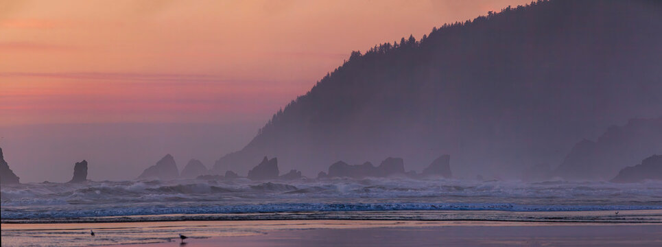 Beautiful wide panoramic view of a wild ocean coast with misty forested mountains and sea stacks at sunset